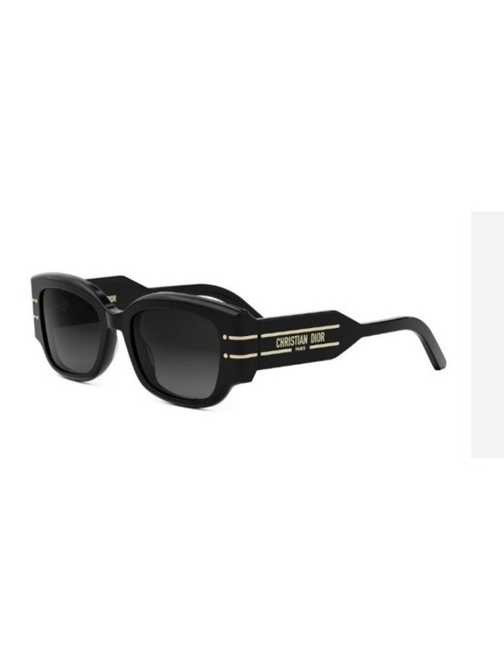 CHRISTIAN DIOR Dior Signature women's rectangular sunglasses 52mm S13l - Black